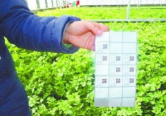 沒(méi)有防偽標(biāo)簽的商品是假的嗎？什么是防偽標(biāo)簽？